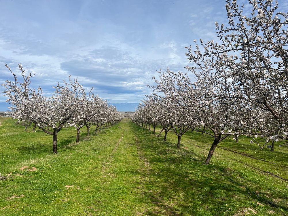 api-group-es-agro-inversiones (12)