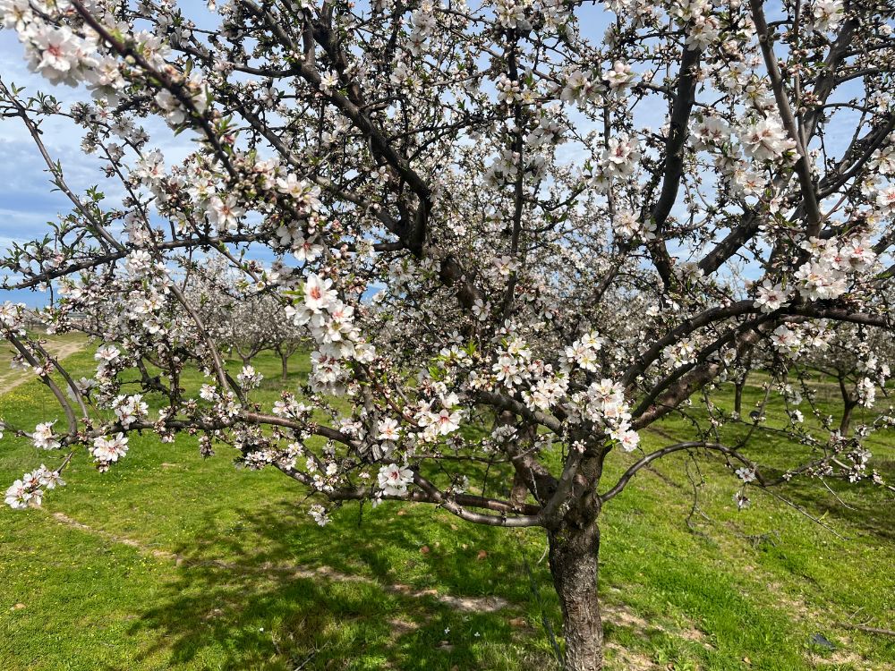 api-group-es-agro-inversiones (14)