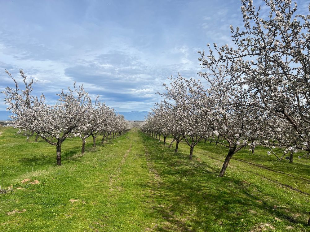 api-group-es-agro-inversiones (15)