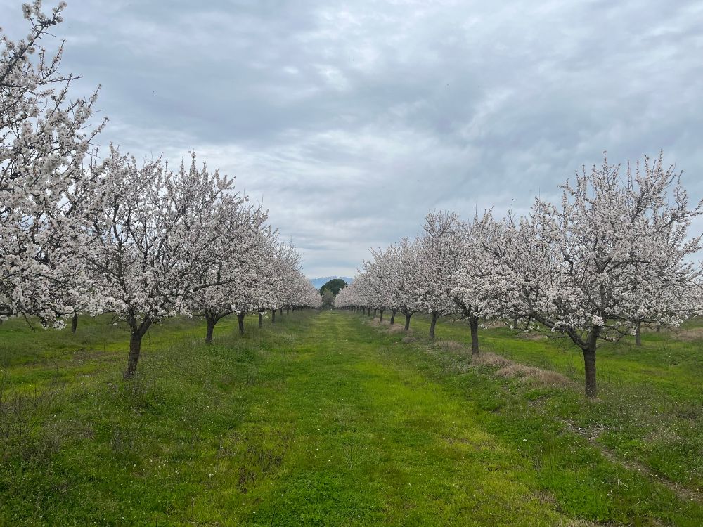 api-group-es-agro-inversiones (16)