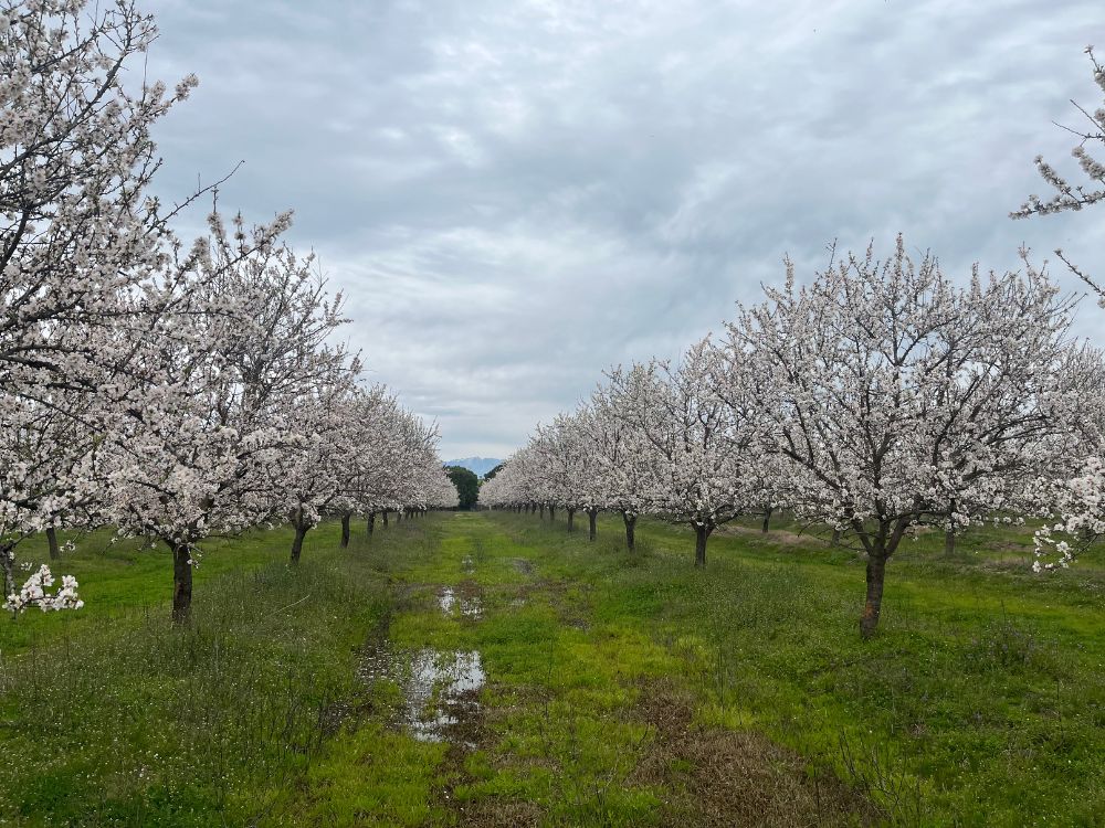 api-group-es-agro-inversiones (2)