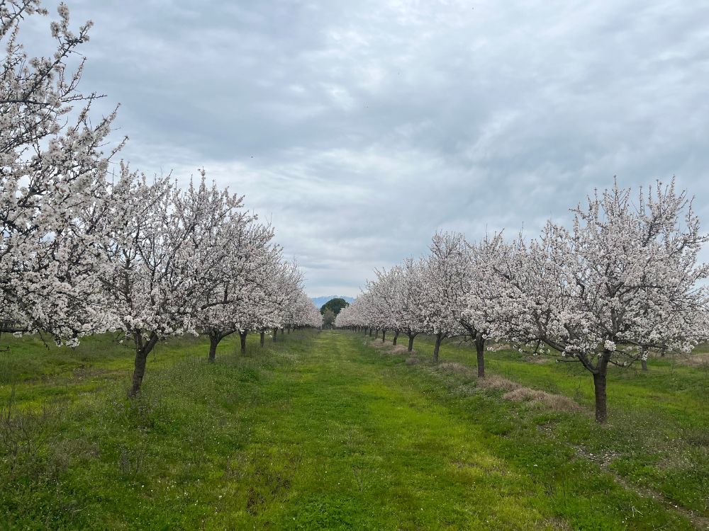 api-group-es-agro-inversiones (4)