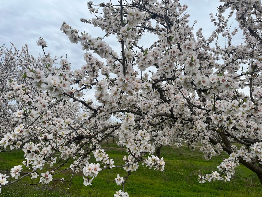 api-group-es-agro-inversiones (5)