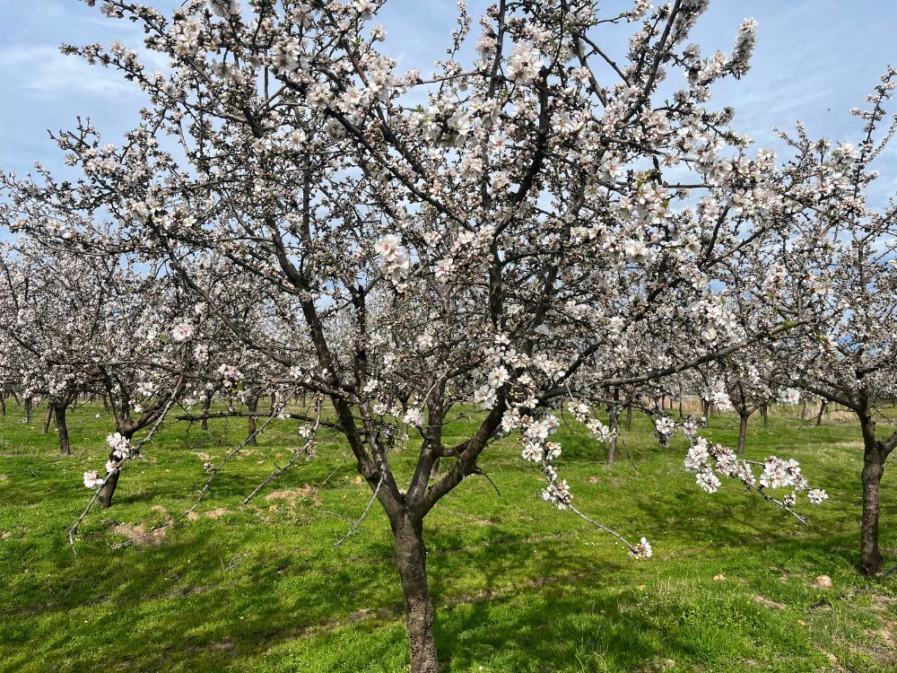 api-group-es-agro-inversiones (6)