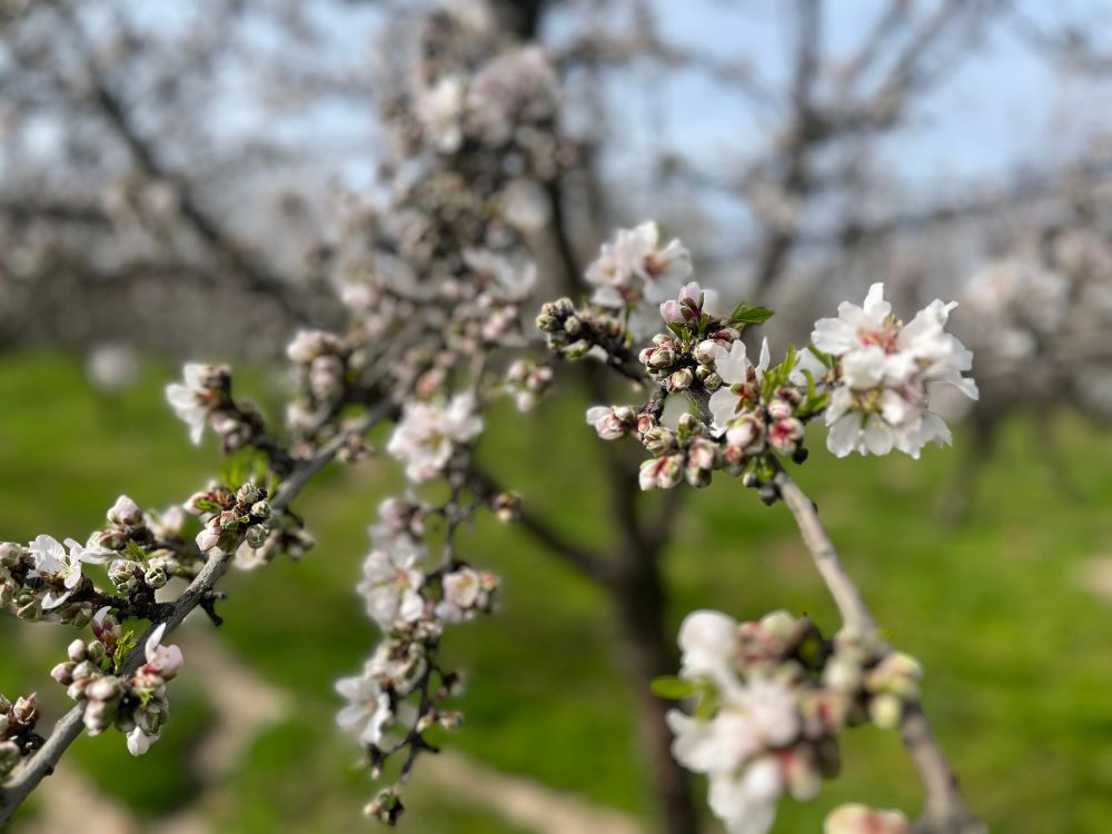 api-group-es-agro-inversiones (7)