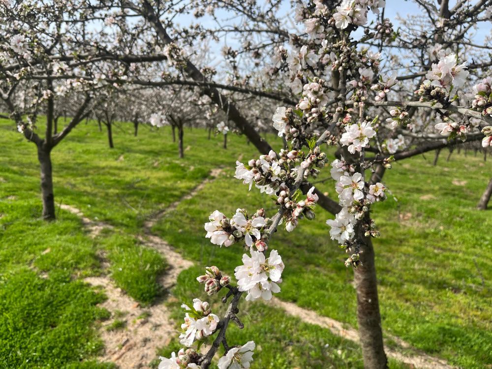 api-group-es-agro-inversiones (8)