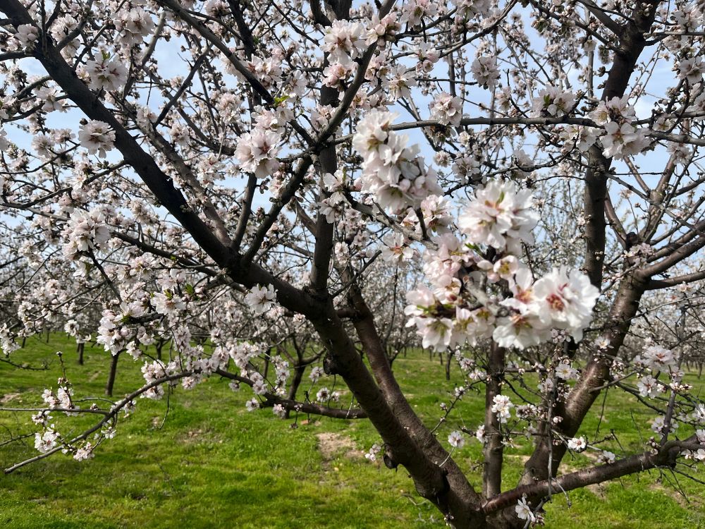 api-group-es-agro-inversiones (9)