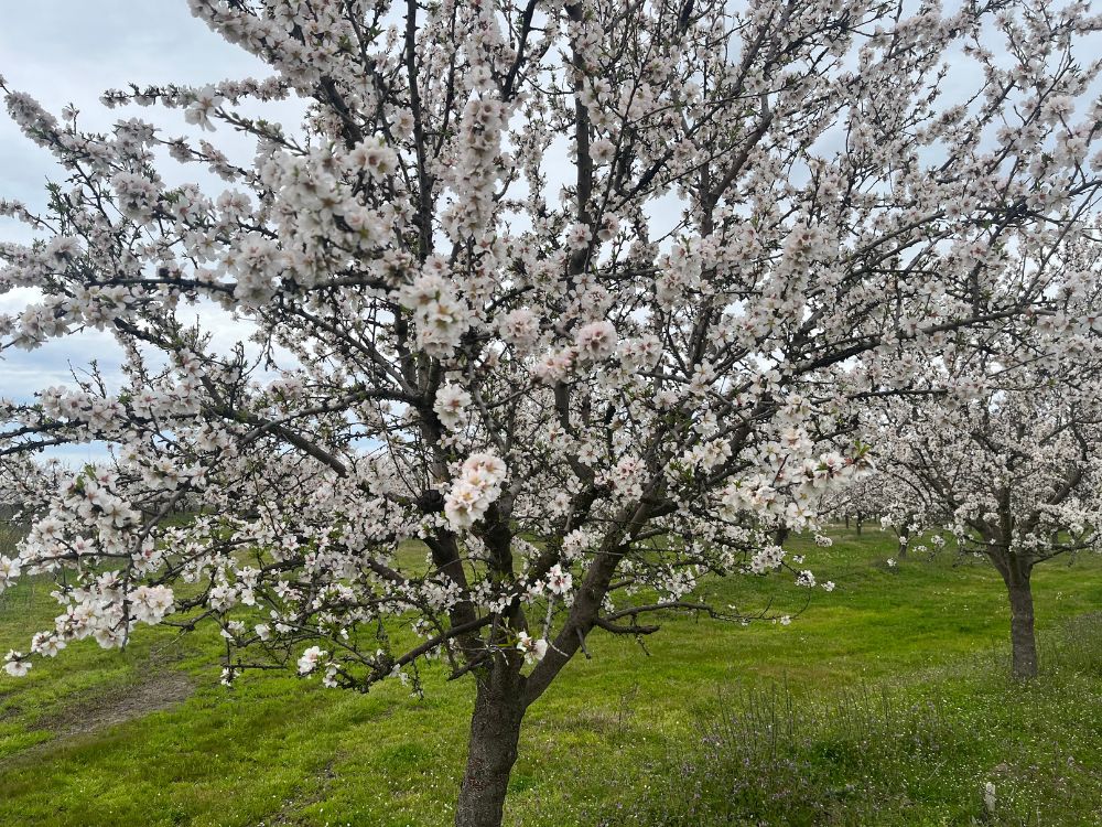 api-group-es-agro-inversiones